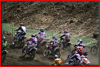 Výběr fota ze sezony 2009